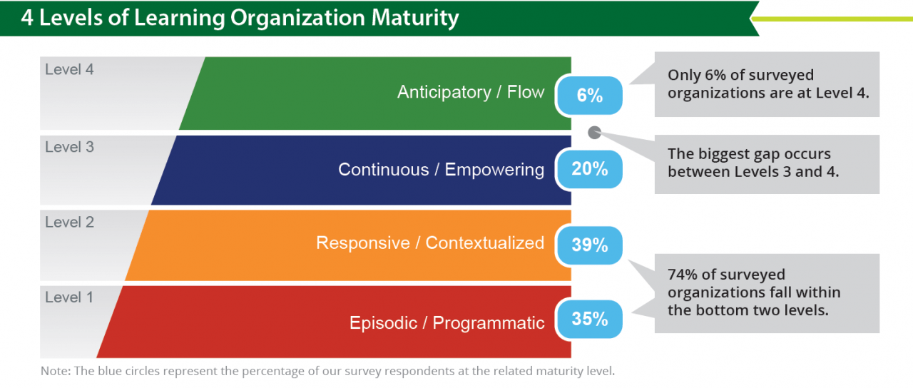 Bersin Learning Organization Maturity Model