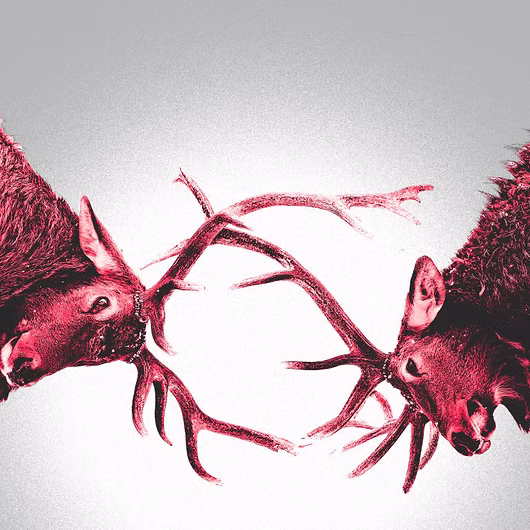 Conflict Happens. Here’s How to Get Better at Dealing With It